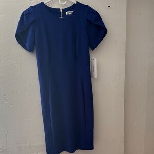 Calvin Klein Royal Blue Mini Dress